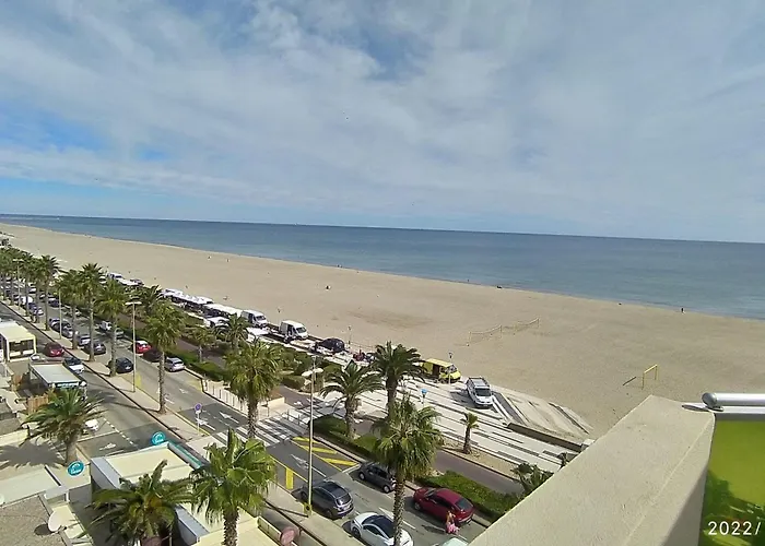 Apartment 5 Personnes Avec Terrasse, Parking, Wifi Et Acces Direct A La - Fr-1-776-86 Canet-en-Roussillon